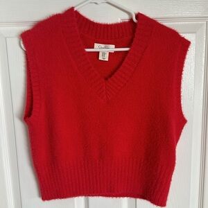 Sweater vest